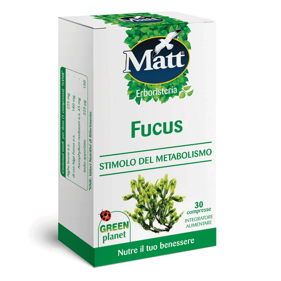 Fucus - Image 3